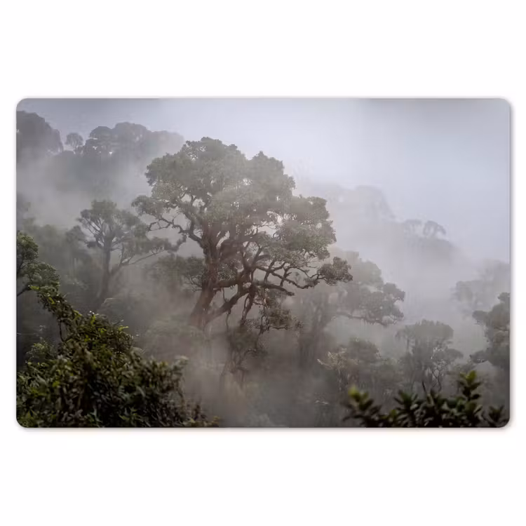 Boom - Mistig - Bos - Groen - Natuur Placemat vinyl groot -zzsfeer1_Kitchenyeah-website
