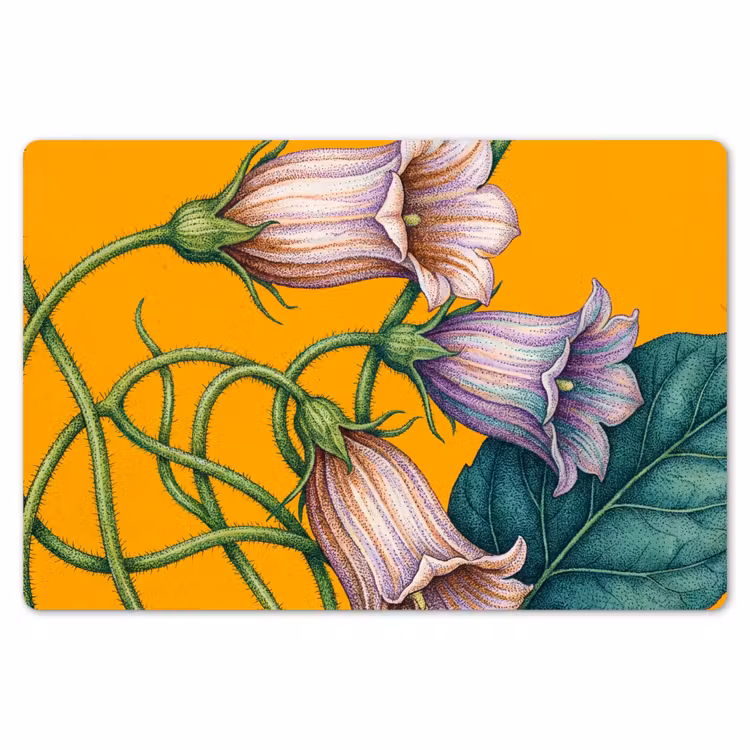 Tischset - 6 Stück - Blumen – Botanik – Gelb - Bloemen - Botanisch - Geel Placemat vinyl groot