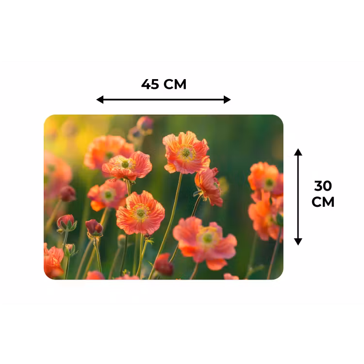 Bloemenveld - Zonnestralen - Oranje Placemat vinyl groot -specs