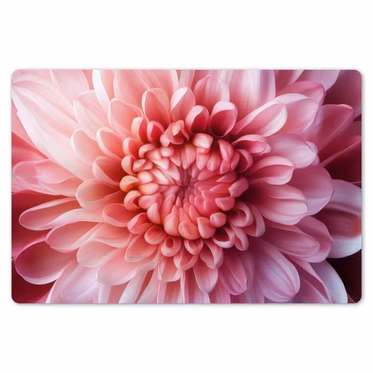 Dahlia - Bloem - Close up - Roze Placemat vinyl groot -zzsfeer1_Kitchenyeah-website
