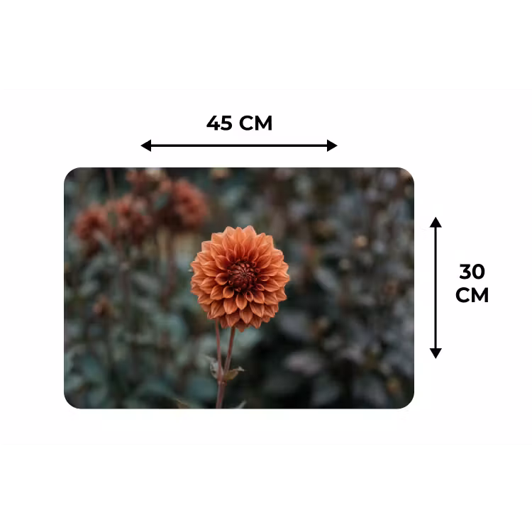 Dahlia - Bloem - Natuur - Sfeervol Placemat vinyl groot -specs