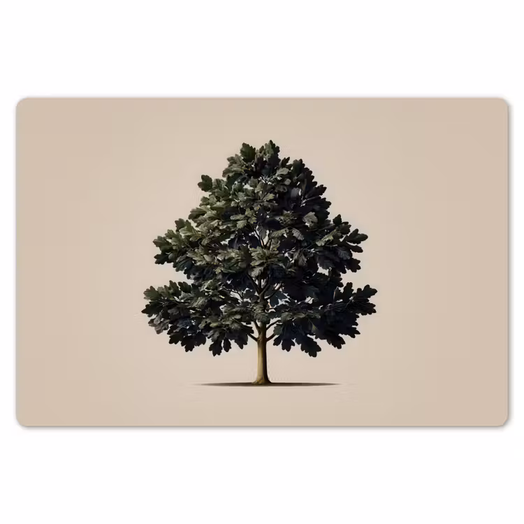Eikenboom - Schaduw - Egaal Placemat vinyl groot -zzsfeer1_Kitchenyeah-website