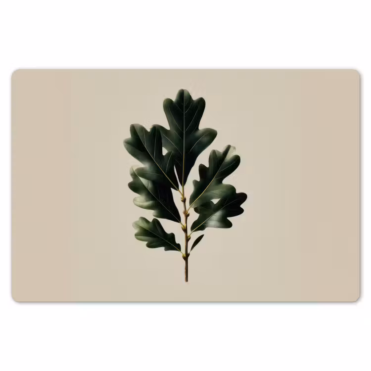 Eikenbladeren - Beige - Groen - Golvende randen Placemat vinyl groot -zzsfeer1_Kitchenyeah-website