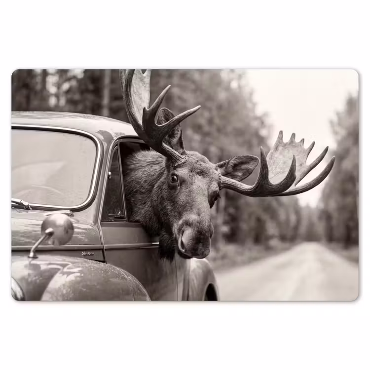 Eland - Auto - Gewei - Zwart - Wit Placemat vinyl groot -zzsfeer1_Kitchenyeah-website
