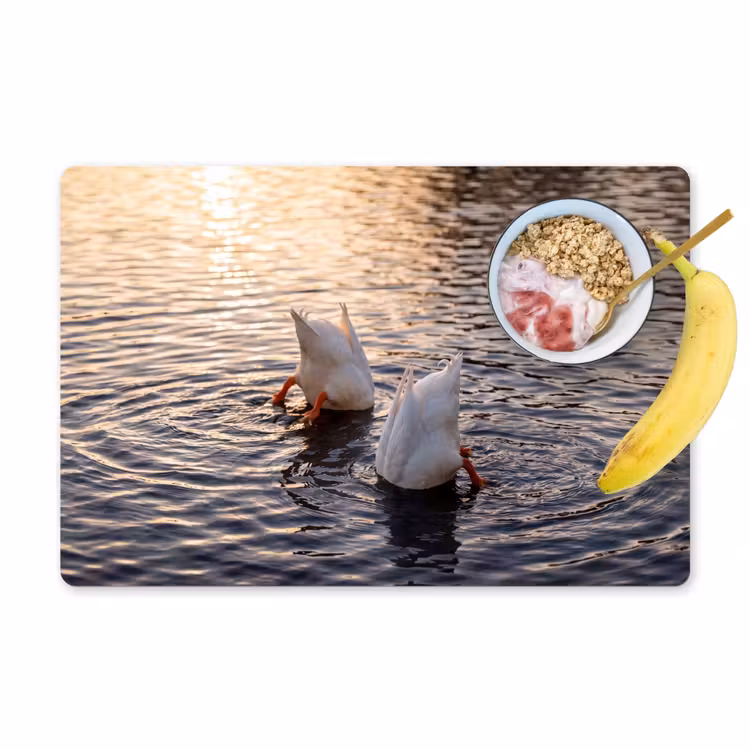Eenden - Water - Natuur Placemat vinyl groot -zzzproduct_Kitchenyeah-website