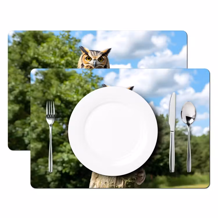 Uil - Boomstronk - Bos - Lucht Placemat vinyl groot -zzsfeer2_Kitchenyeah-website