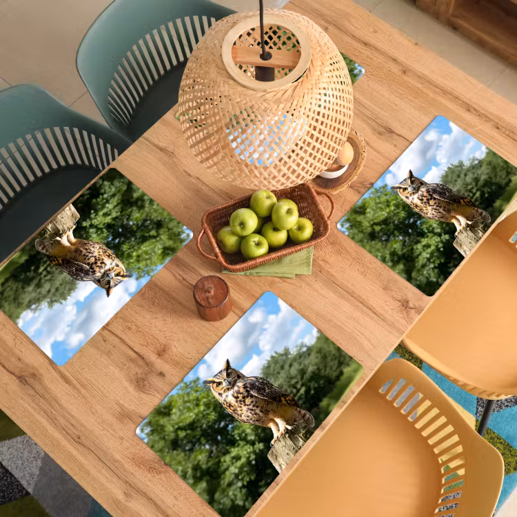 Uil - Boomstronk - Bos - Lucht Placemat vinyl groot -zzsfeer5_Kitchenyeah-website