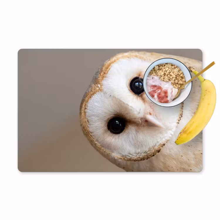 Uil - Bruin - Wit Placemat vinyl groot -zzzproduct_Kitchenyeah-website