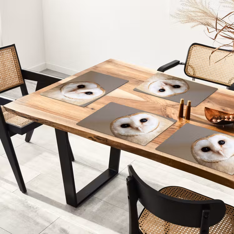 Uil - Bruin - Wit Placemat vinyl groot -zzsfeer4_Kitchenyeah-website