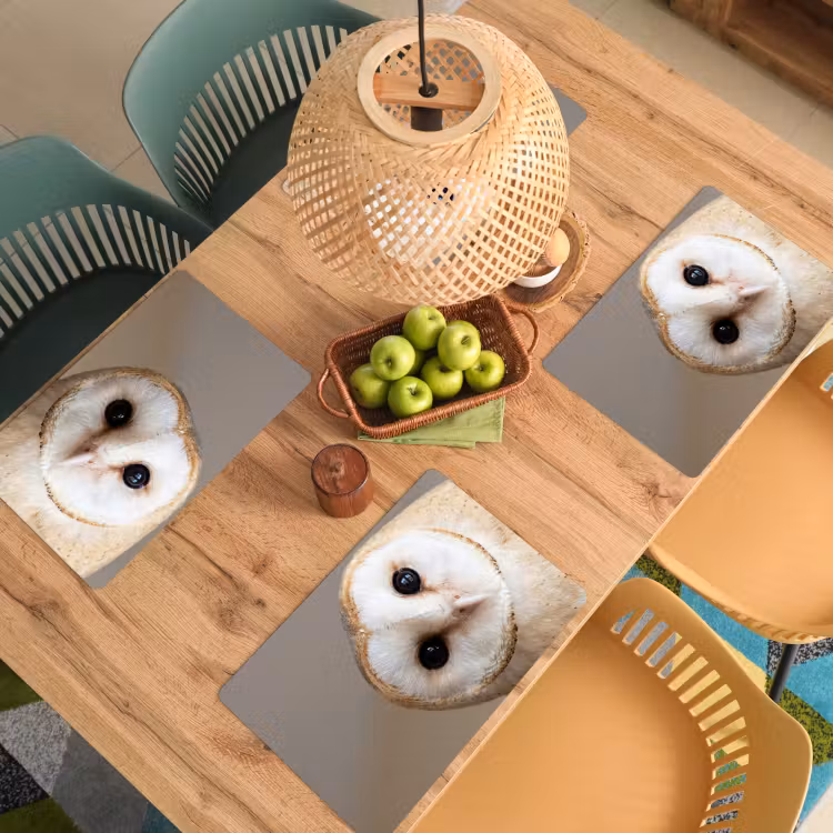 Uil - Bruin - Wit Placemat vinyl groot -zzsfeer5_Kitchenyeah-website