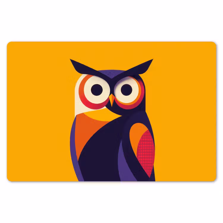 Uil - Grafisch - Kleurrijk - Ogen Placemat vinyl groot -zzsfeer1_Kitchenyeah-website