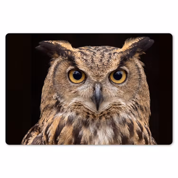 Oehoe - Uil - Portret - Bruin Placemat vinyl groot -zzsfeer1_Kitchenyeah-website