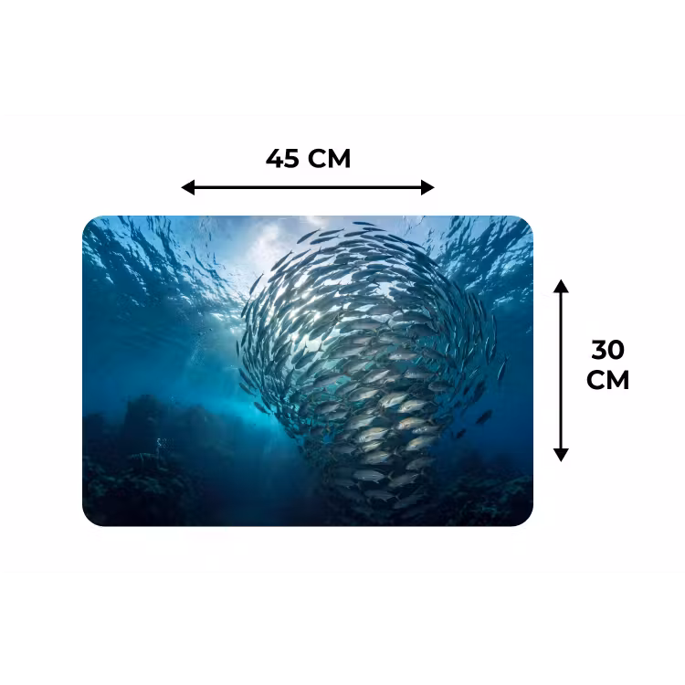 Vis - School - Oceaan - Natuur - Blauw Placemat vinyl groot -specs
