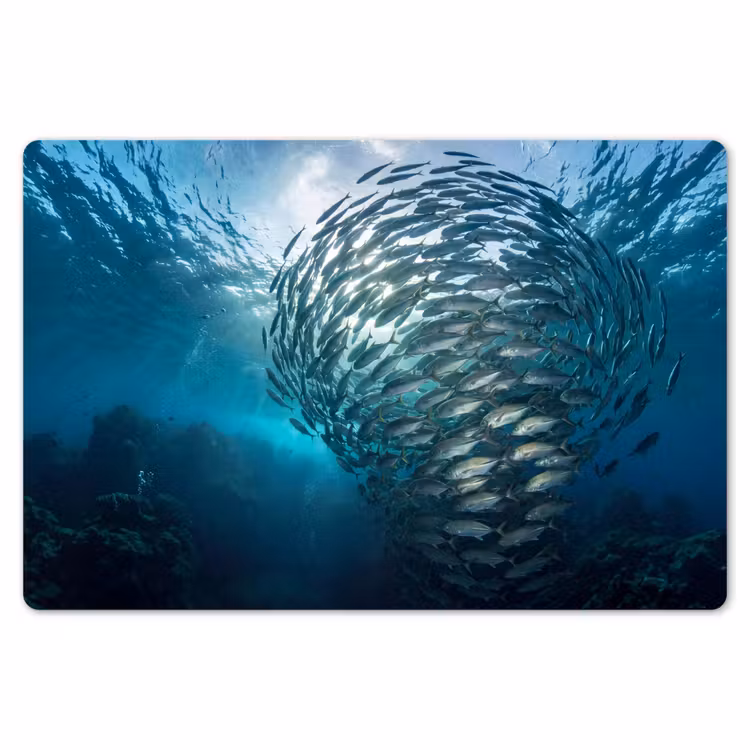 Vis - School - Oceaan - Natuur - Blauw Placemat vinyl groot -zzsfeer1_Kitchenyeah-website