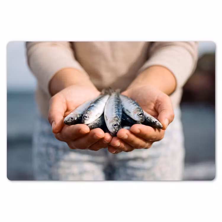 Tischset - 6 Stück - Fisch – Hände – Natur - Vis - Handen - Natuur Placemat vinyl groot