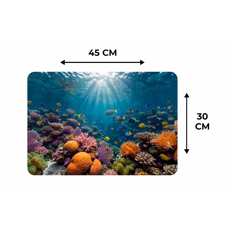 Vis - Koraal - Oceaan - Natuur - Kleurrijk Placemat vinyl groot -specs