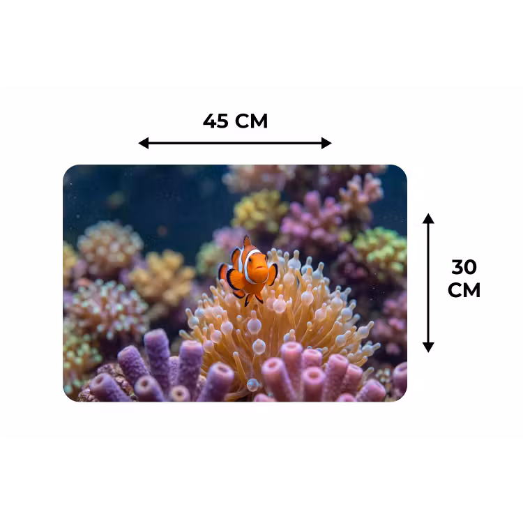 Vis - Koraal - Onderwater - Oranje - Dieren Placemat vinyl groot -specs