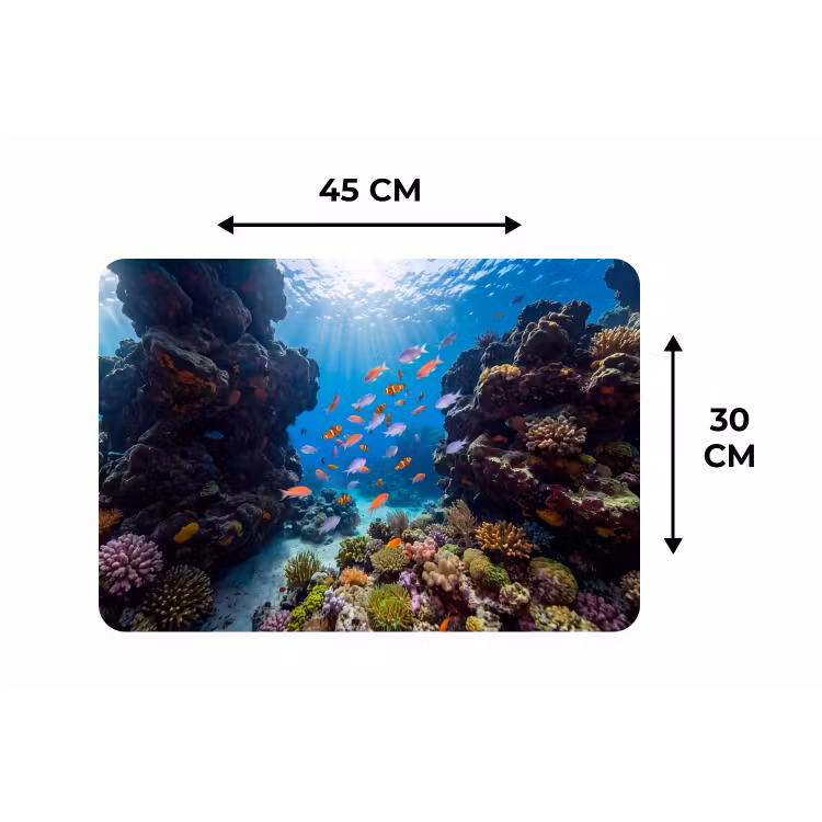 Vis - Koraalrif - Onderwater - Levendig - Blauw Placemat vinyl groot -specs