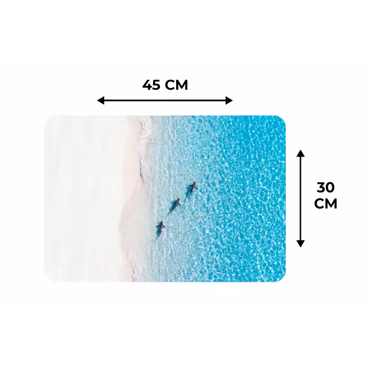 Vis - Oceaan - Strand - Turquoise - Natuur Placemat vinyl groot -specs