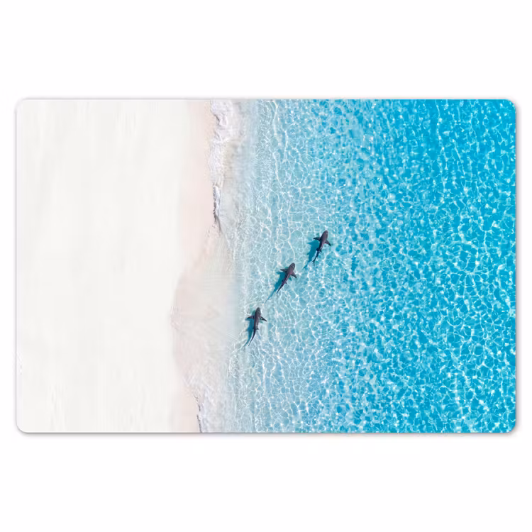Vis - Oceaan - Strand - Turquoise - Natuur Placemat vinyl groot -zzsfeer1_Kitchenyeah-website