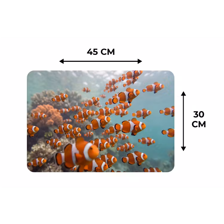 Vis - School - Onderwater - Dieren - Oranje Placemat vinyl groot -specs