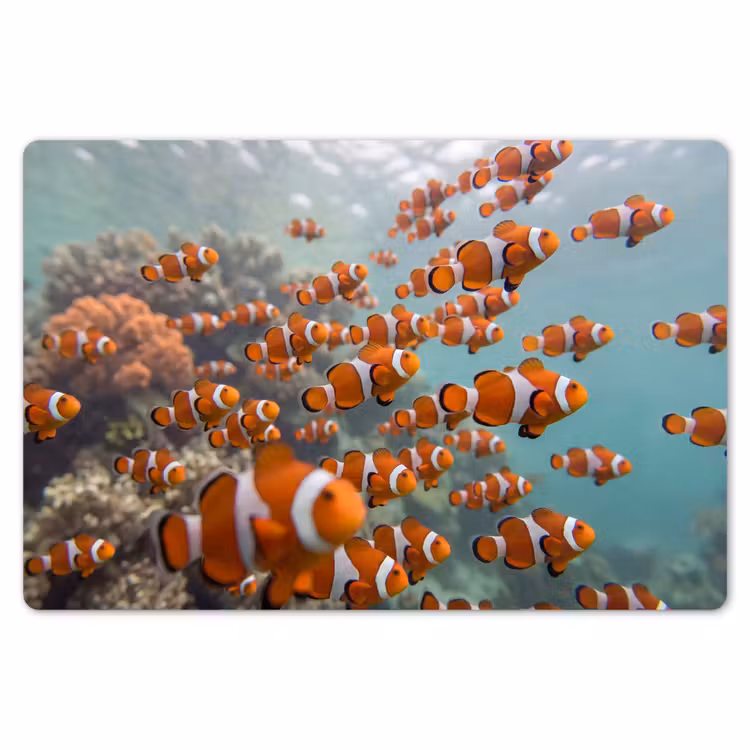 Vis - School - Onderwater - Dieren - Oranje Placemat vinyl groot -zzsfeer1_Kitchenyeah-website