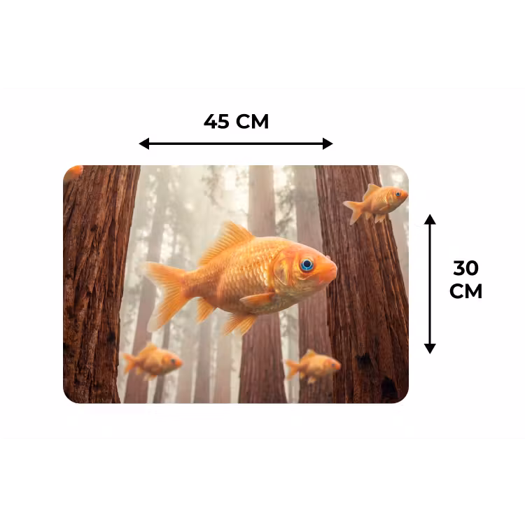 Tischset - 6 Stück - Fisch – Wald – Fantasie - Vis - Bos - Fantasie Placemat vinyl groot