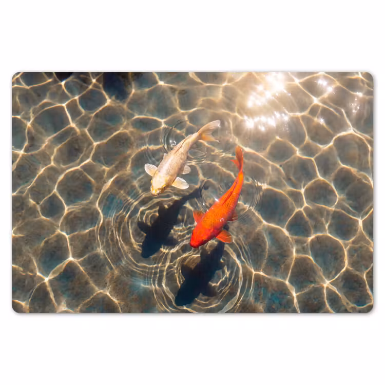 Vis - Water - Dieren - Oranje - Goud Placemat vinyl groot -zzsfeer1_Kitchenyeah-website