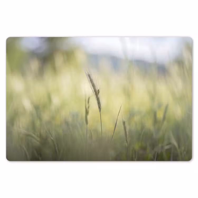 Graan - Aar - Natuur - Groen - Detail Placemat vinyl groot -zzsfeer1_Kitchenyeah-website
