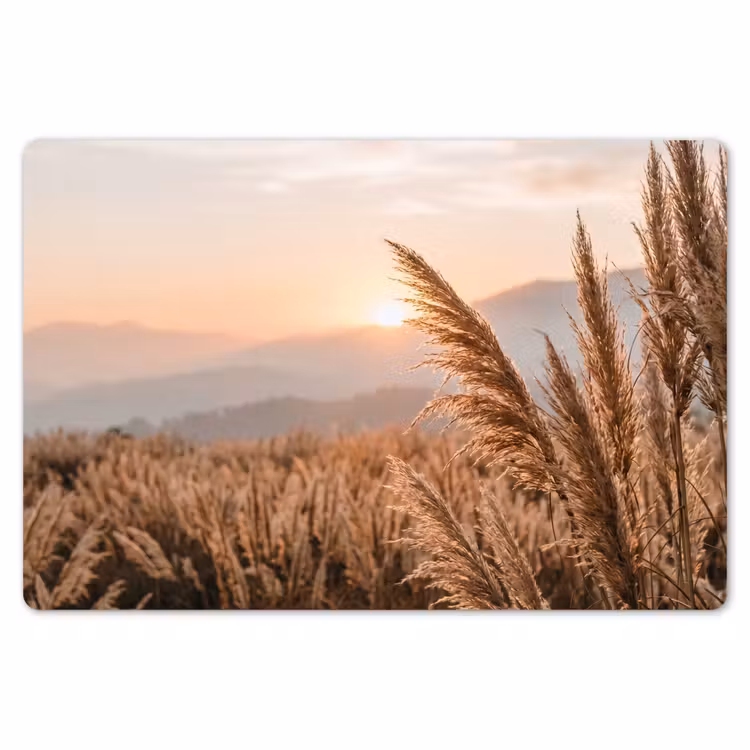 Gras - Veld - Zon - Natuur Placemat vinyl groot -zzsfeer1_Kitchenyeah-website