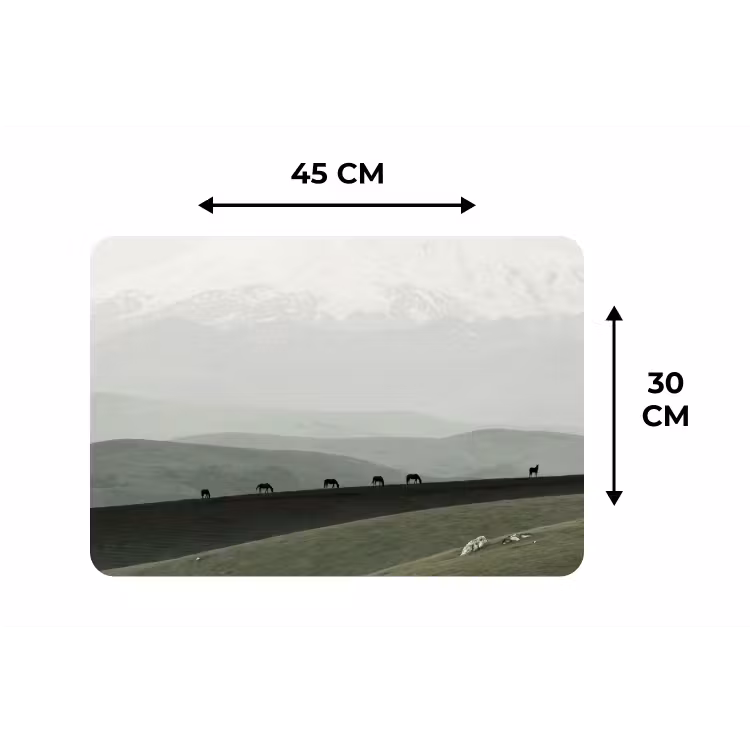 Grijs - Berg - Paarden Placemat vinyl groot -specs