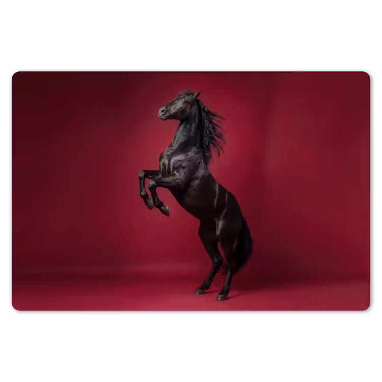 Hengst - Steigert - Rood Placemat vinyl groot -zzsfeer1_Kitchenyeah-website