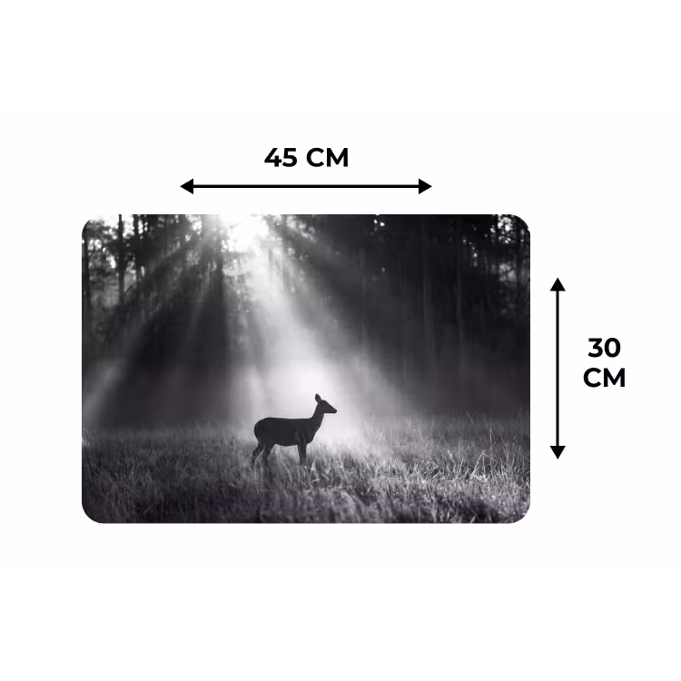 Hert - Bos - Zonnestralen - Zwart-wit - Natuur Placemat vinyl groot -specs