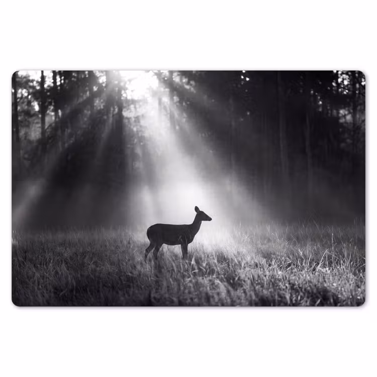 Hert - Bos - Zonnestralen - Zwart-wit - Natuur Placemat vinyl groot -zzsfeer1_Kitchenyeah-website