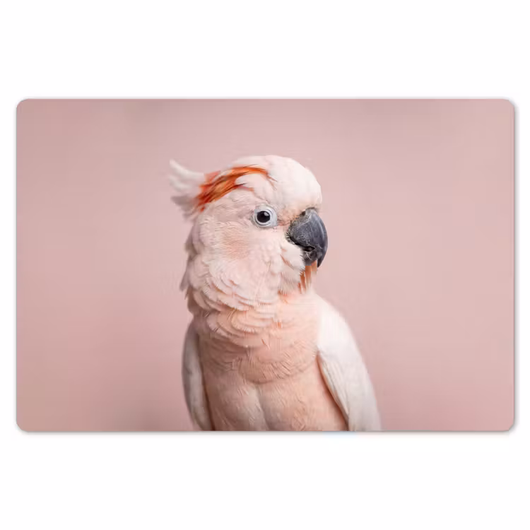 Kaketoe - Portret - Roze Placemat vinyl groot -zzsfeer1_Kitchenyeah-website