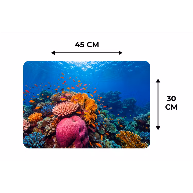 Koraal - Vissen - Oceaan - Natuur - Kleurrijk Placemat vinyl groot -specs