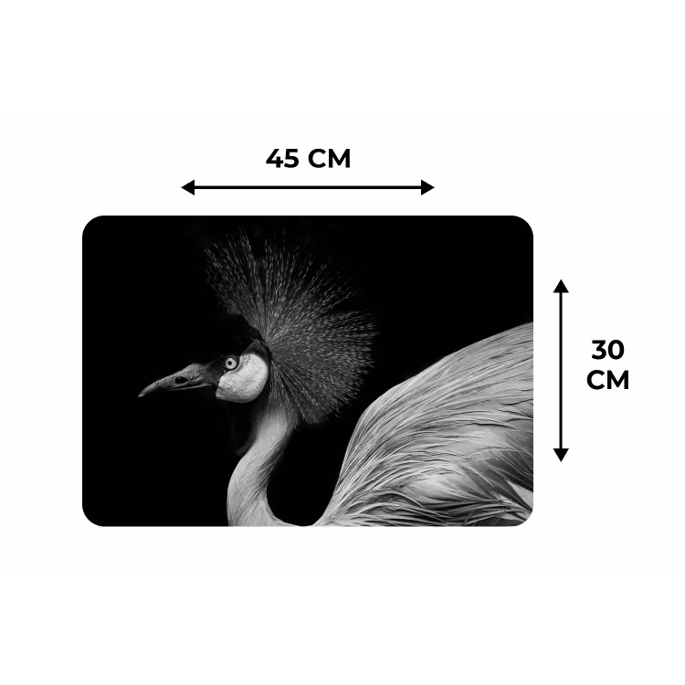 Kraanvogel - Zwart - Wit - Vogel - Dieren Placemat vinyl groot -specs