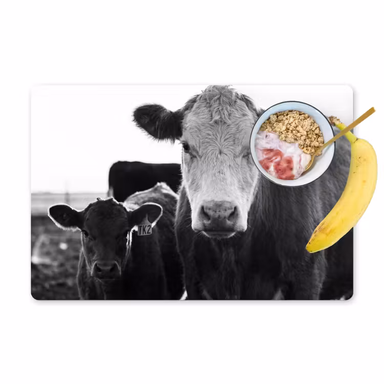 Koeien - Zwart - Wit Placemat vinyl groot -zzzproduct_Kitchenyeah-website