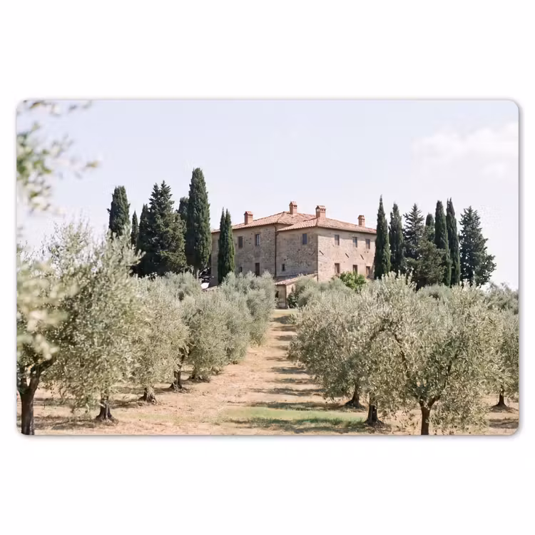 Tischset - 6 Stück - Landhaus – Olivenbaum – Obstgarten - Landhuis - olijfboom - gaard Placemat vinyl groot