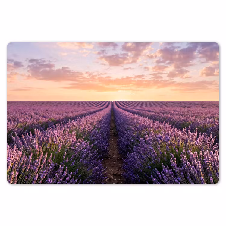 Landschap - Lavendelveld - Paars Placemat vinyl groot -zzsfeer1_Kitchenyeah-website