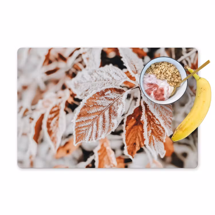 Bladeren - IJs - Winter - Natuur Placemat vinyl groot -zzzproduct_Kitchenyeah-website