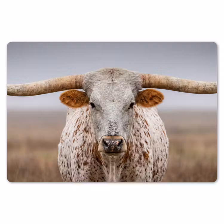 Longhorn - Grasveld - Dier Placemat vinyl groot -zzsfeer1_Kitchenyeah-website