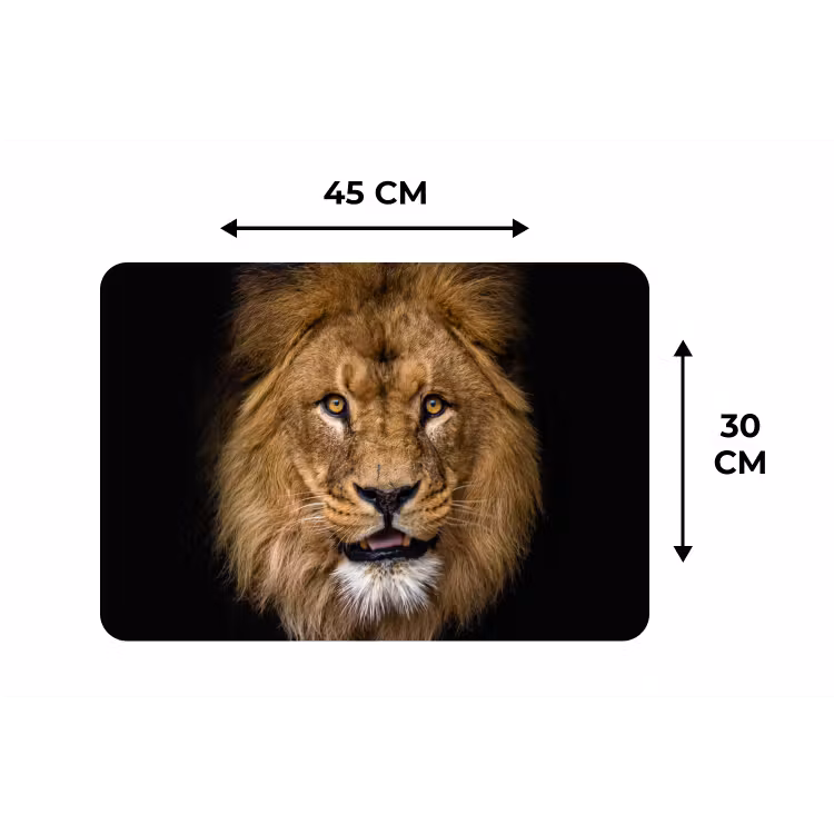 Leeuw - Portret - Zwart - Dieren Placemat vinyl groot -specs