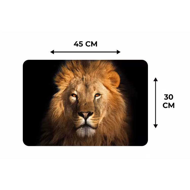 Leeuw - Dieren - Zwart - Licht - Bruin - Portret Placemat vinyl groot -specs