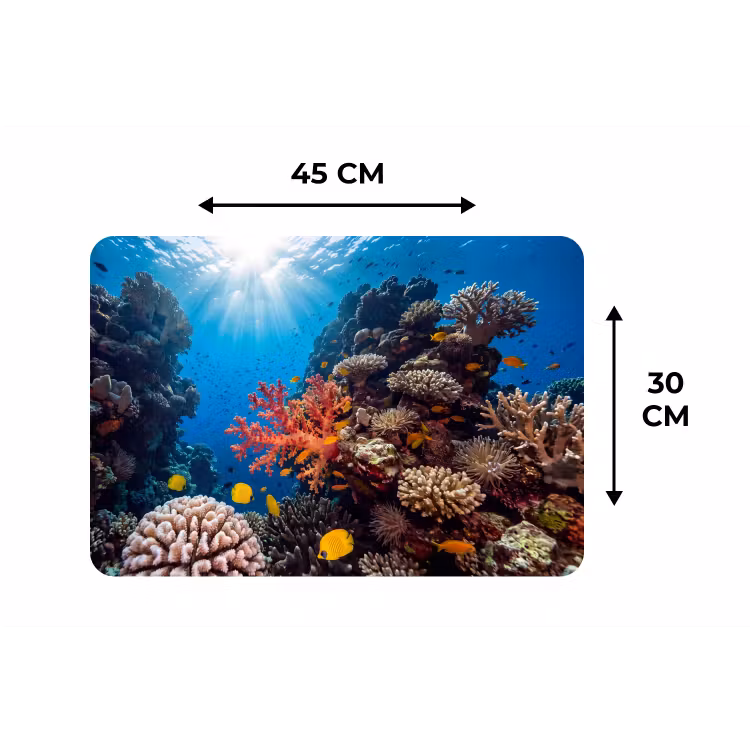 Zee - Koraalrif - Natuur - Levendig - Blauw Placemat vinyl groot -specs
