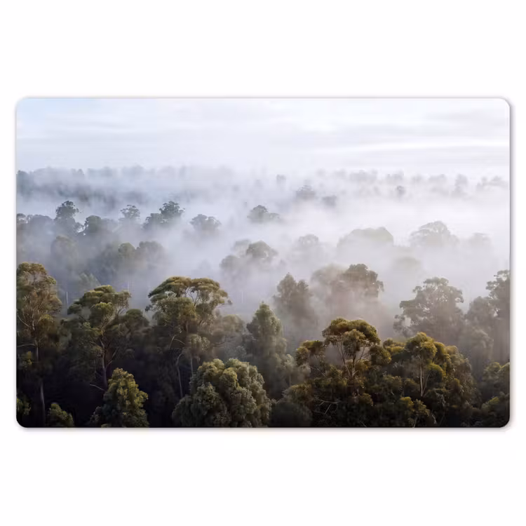 Natuur - Mist - Bos - Ochtend - Goud Placemat vinyl groot -zzsfeer1_Kitchenyeah-website