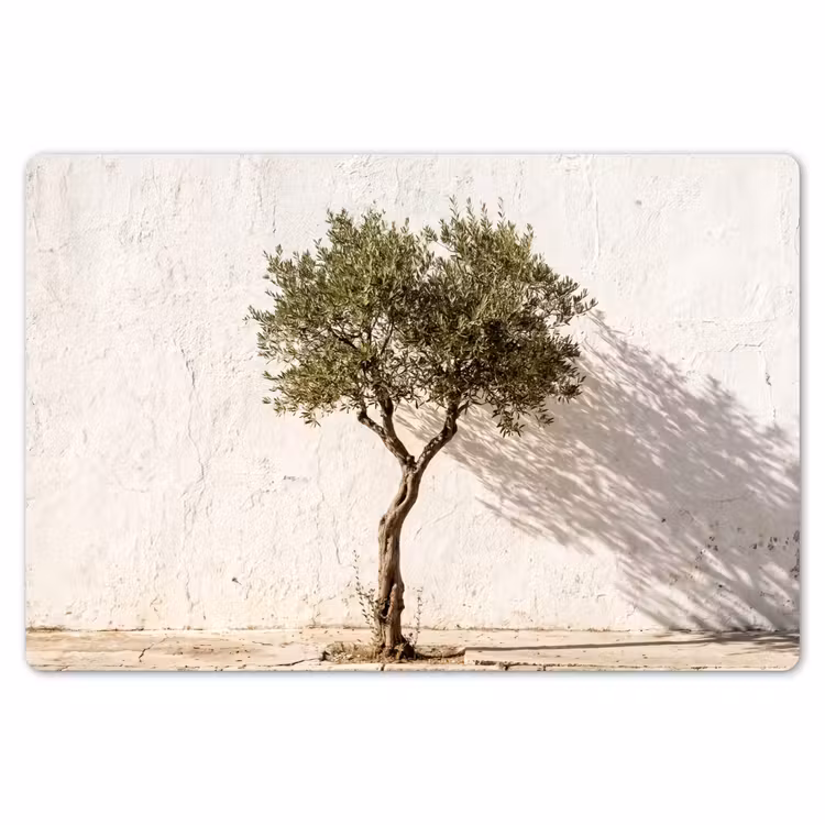 Tischset - 6 Stück - Olivenbaum – Wand – weiß - Olijfboom - muur - wit Placemat vinyl groot