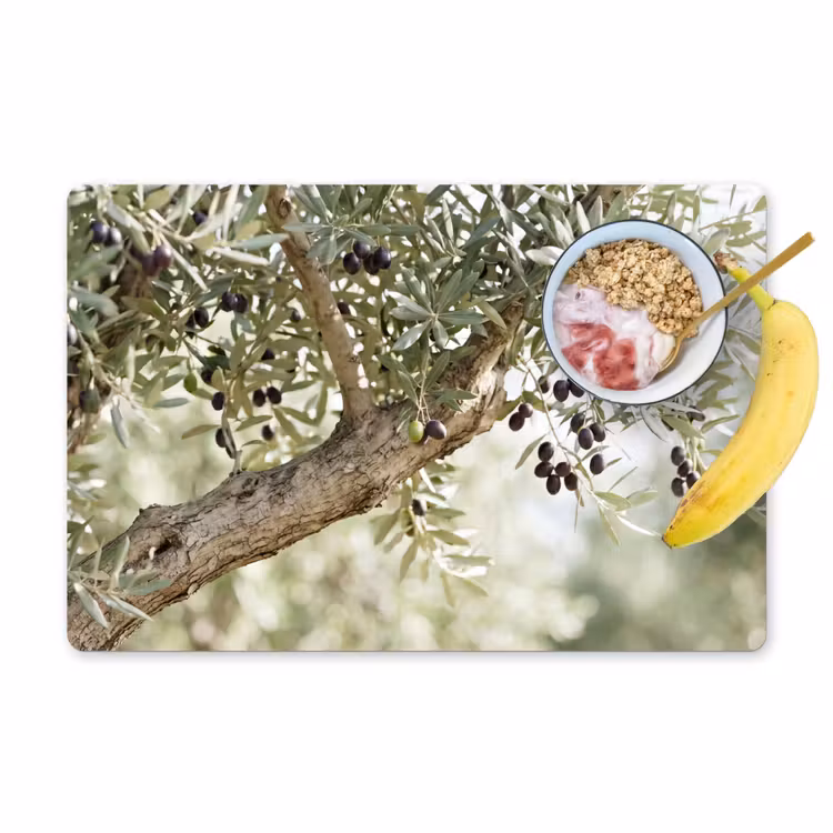 Tischset - 6 Stück - Olivenbaum – Zweig – grün - Olijfboom - tak - groen Placemat vinyl groot