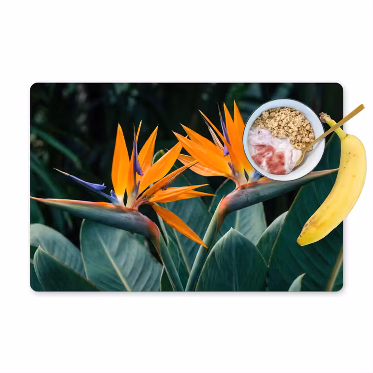 Paradijsvogel - Bloem - Exotisch Placemat vinyl groot -zzzproduct_Kitchenyeah-website