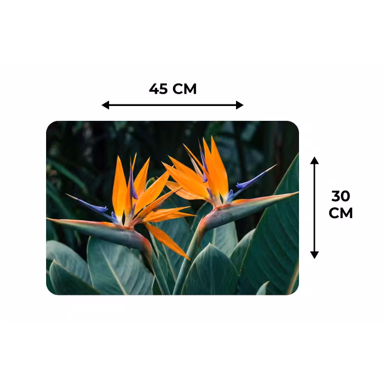 Paradijsvogel - Bloem - Exotisch Placemat vinyl groot -specs